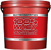 Scitec Nutrition Whey Protein Professional