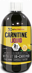 HX Nutrition Premium Carnitine Liquid